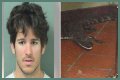 Florida Man Throws Crocodile In Drive Thru