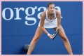 
How Much Money Does Karolína Plíšková Make? Latest Income Salary
